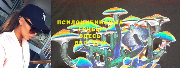 а пвп мука Белокуриха