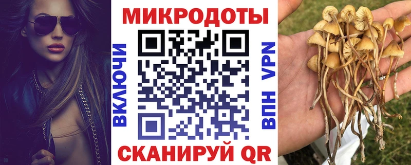 Галлюциногенные грибы ЛСД  kraken онион  Окуловка 